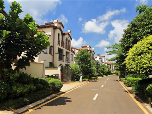 丰顺药店加盟费多少，丰顺医药公司