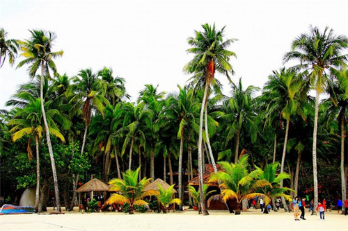 广西加盟蛋糕有哪些值得投资的品牌，在广西加盟vcake蛋糕能赚钱吗