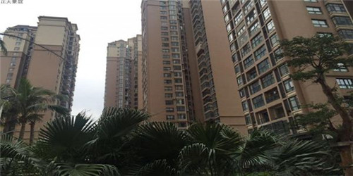 重返原始在线观看（重返原始世界）