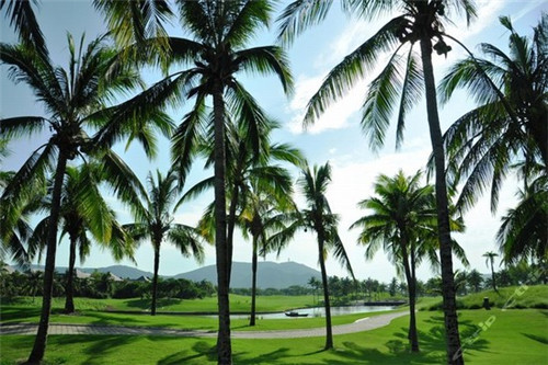 画布小游戏该怎么玩（画布小游戏该怎么玩呢）