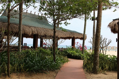 手游问道怎么洗点（问道如何洗点）