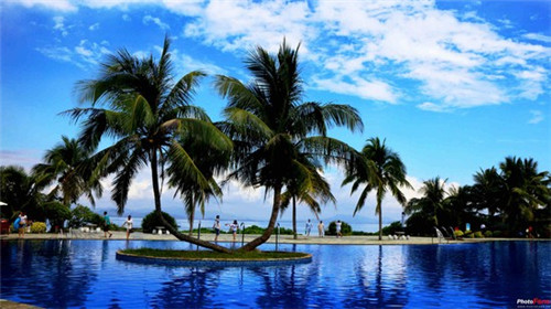 可以拉粑粑的小游戏叫什么（能拉粑粑的游戏是什么）