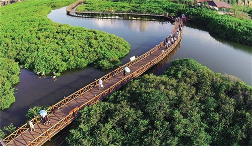 凌子涵抖音平台有股份吗（凌子涵是谁）