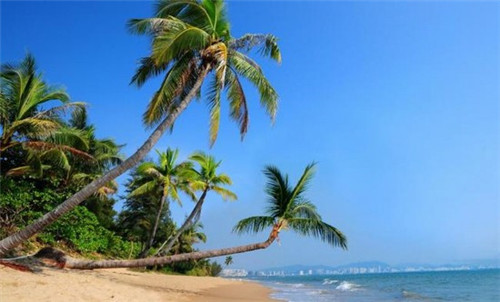 客人找钱小游戏怎么玩（找客人要钱如何沟通）